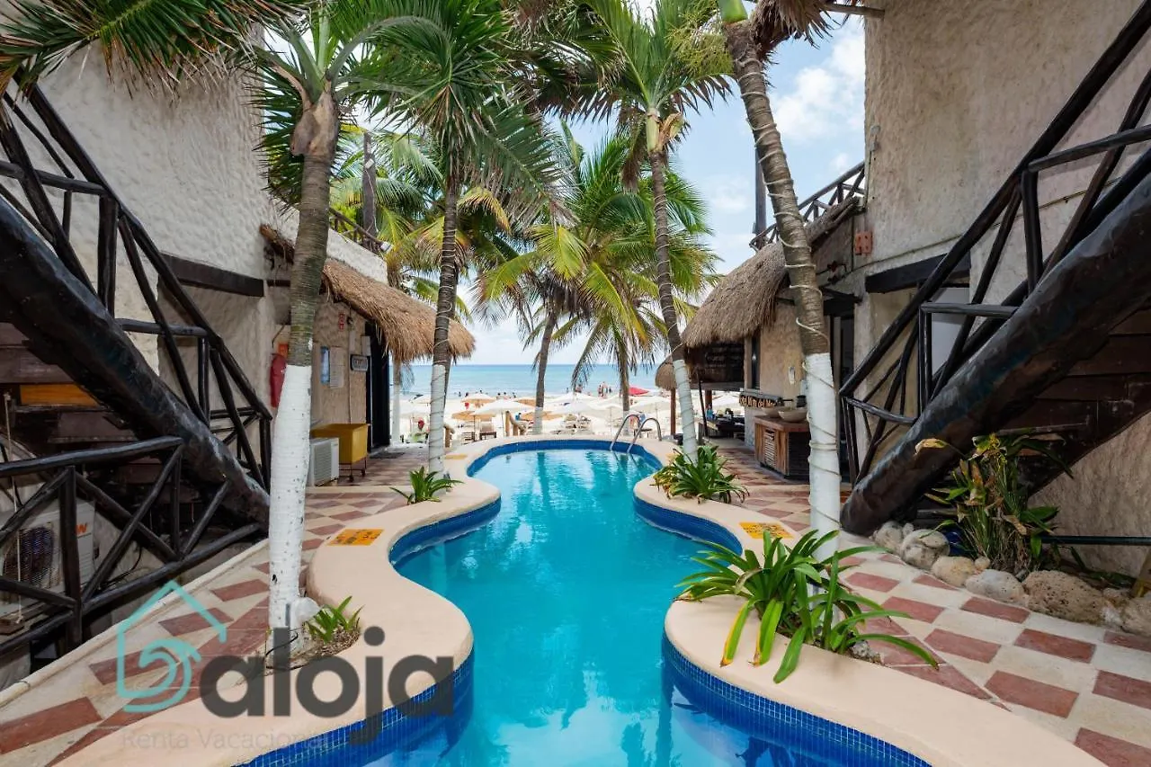 Magnifico Refugio Junto Al Mar Apartment Playa del Carmen Mexico