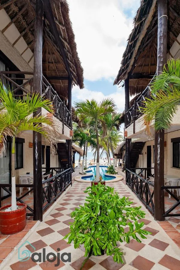 Magnifico Refugio Junto Al Mar Apartment Playa del Carmen