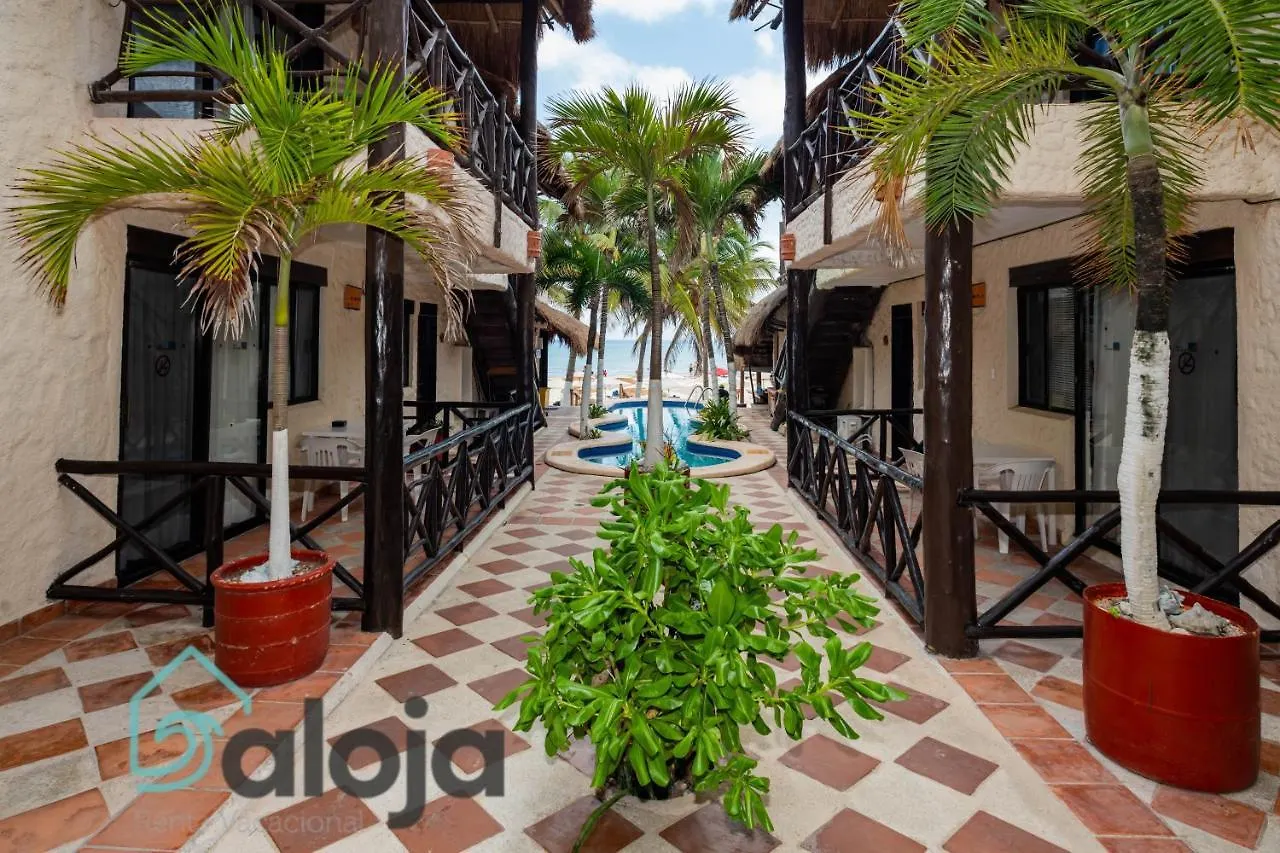 Magnifico Refugio Junto Al Mar Appartement Playa del Carmen Mexico
