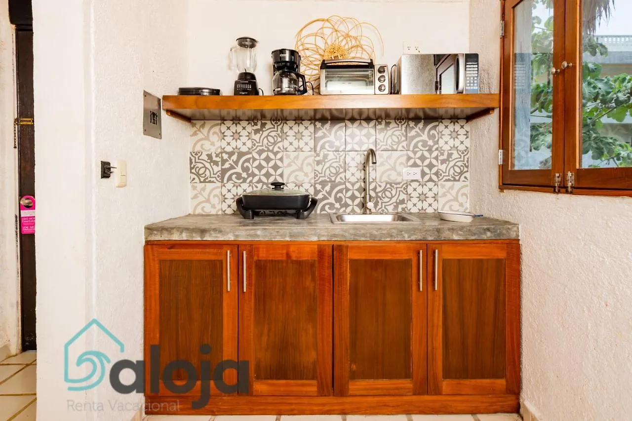 Magnifico Refugio Junto Al Mar Appartement Playa del Carmen Mexico