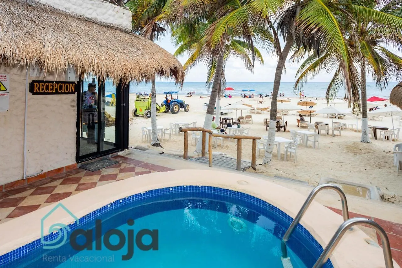Magnifico Refugio Junto Al Mar Appartement Playa del Carmen